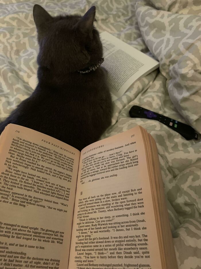 I Have To Use A Decoy Book When I Read Because Of This Jerk