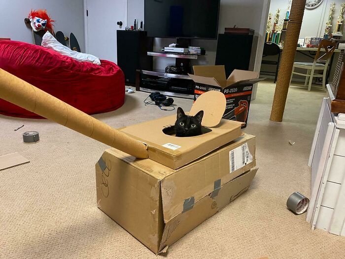 My Dad Sent Me This Photo Of A Tank He Made For His Cat