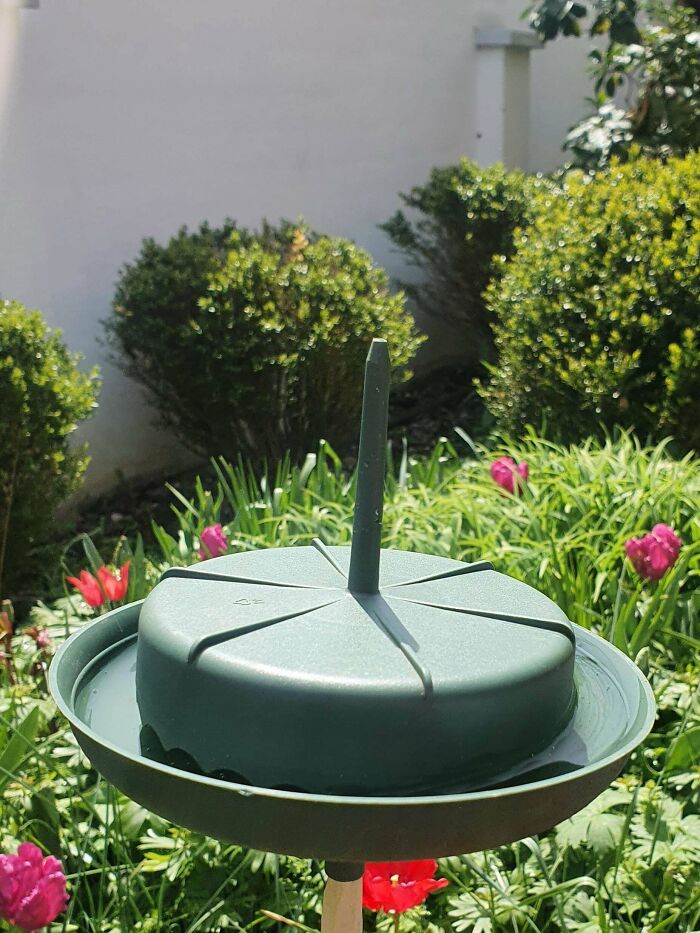 What Is This Green Round Object Found In My Grandparents Garden. It Is Made Out Of Plastic With A Round Plate And A Separate Cylinder On Top Of It And Two Straw Like Pipes Both On Top And Bottom