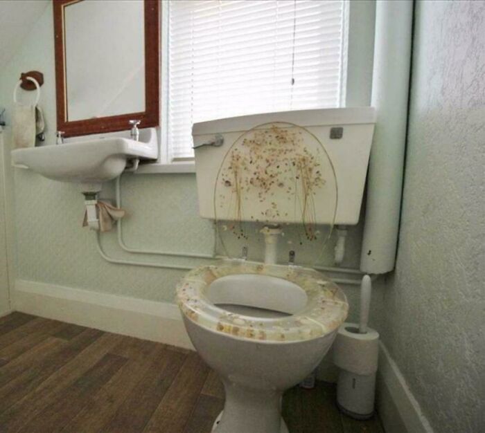 Toilet Seat Makes It Looks Like Someone Didn't Quite Make It