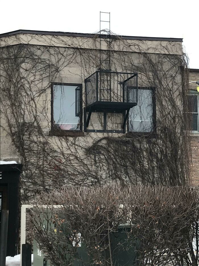 This Balcony