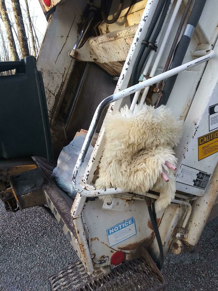 Piel de oveja vieja que uso para evitar que los controles de mi camión de la basura se congelen. Funciona de maravilla