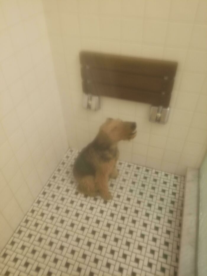 She Demands Showering And Just Sits There Cheesin'!