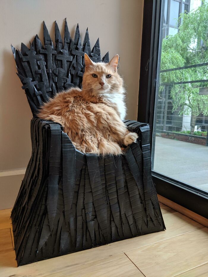 I Made My 17-Year-Old King Arthur A Cardboard Iron Throne