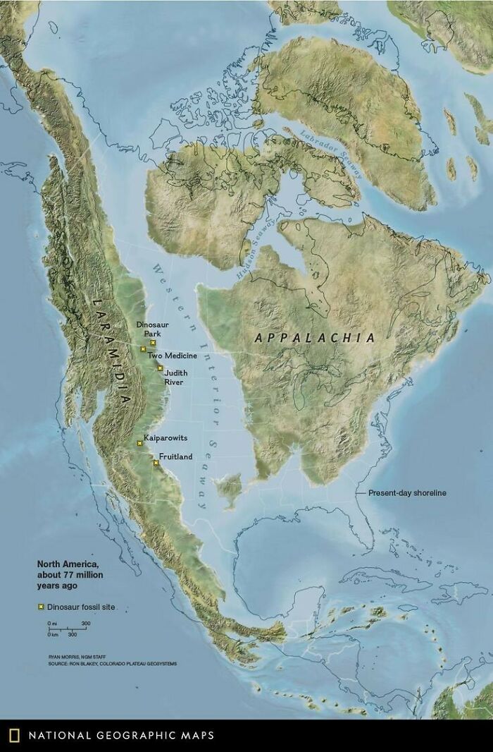 North America 77 Million Years Ago