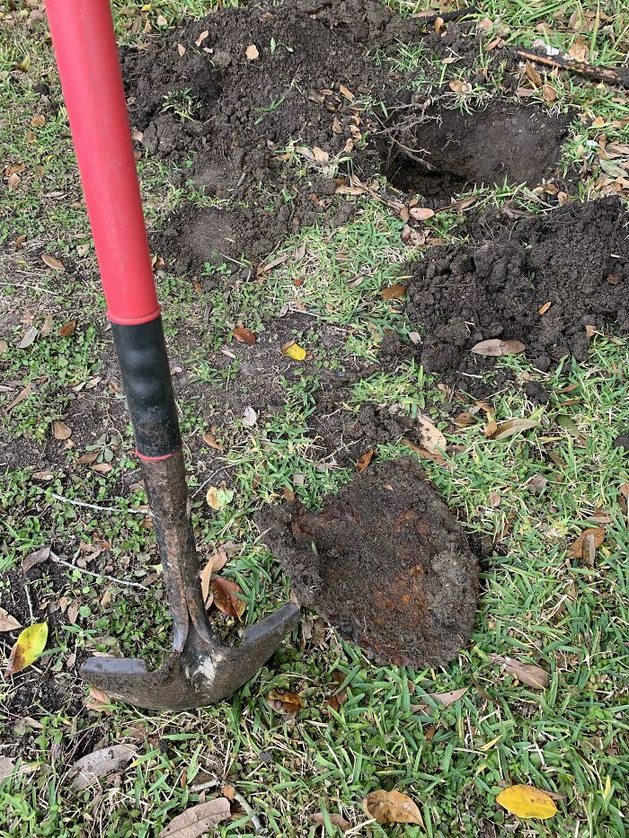 Of All The Things We Could Dig Up, We Found A Shovel