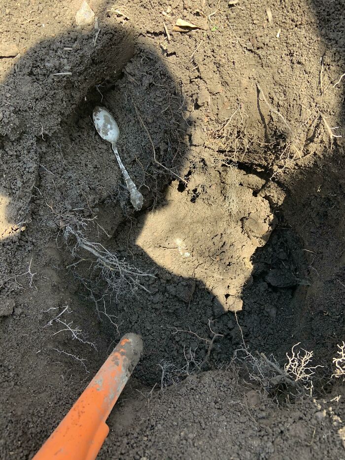 This Is Why You Don’t Give Up On A Hole. Signal Kept Jumping From The 50s To The Upper 80s. Dug About 6 Inches Down And Just Kept Finding Little Scraps Of Aluminum Dug Over A Little And There It Was 1 Oz Sterling Spoon