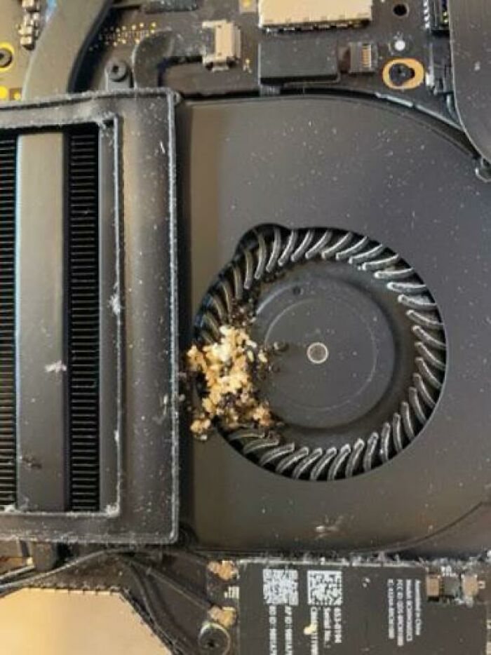 Her: My MacBook Pro Is Running Hot. Inside The Fan: Ant Colony