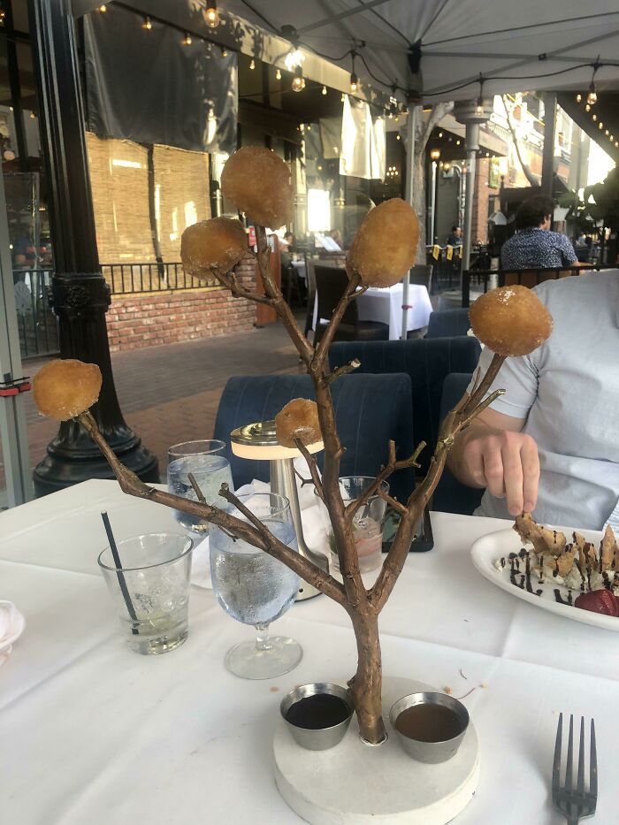 Beignets Growing On A Tree
