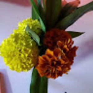 ashelyhuggins avatar