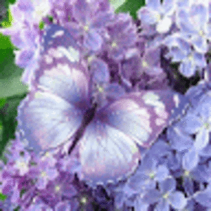 salm4660salm4660 avatar