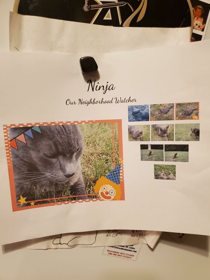 So My Cat Died A Few Days Ago And The Neighbors Kids Found Out And My This Collage Of Him. I'm In Tears