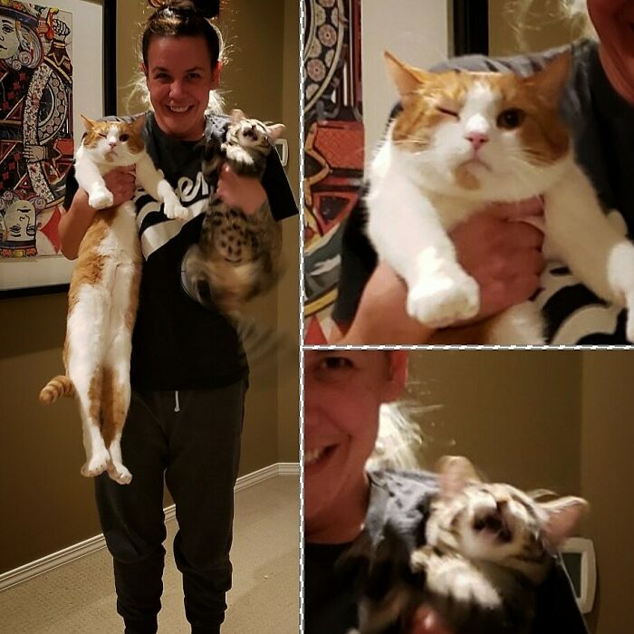 Super First Photo Of Me With Our Our Little (Long) Guy, Waffles...and Our New Kitten, Pumpkin.