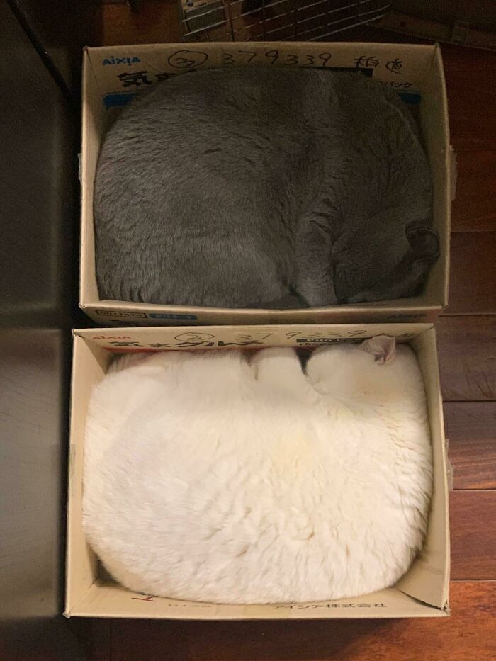 Perfect Fit 