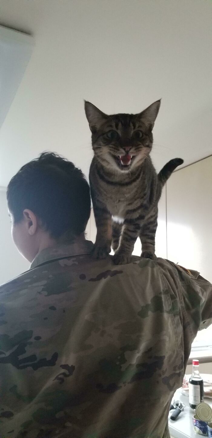 He Scream On Top Of Daddy