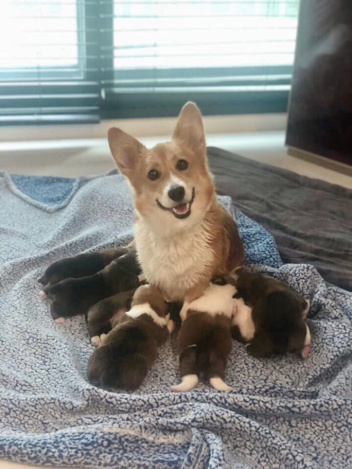 Even As A Surprise Pregnancy, She Is A Proud Mom