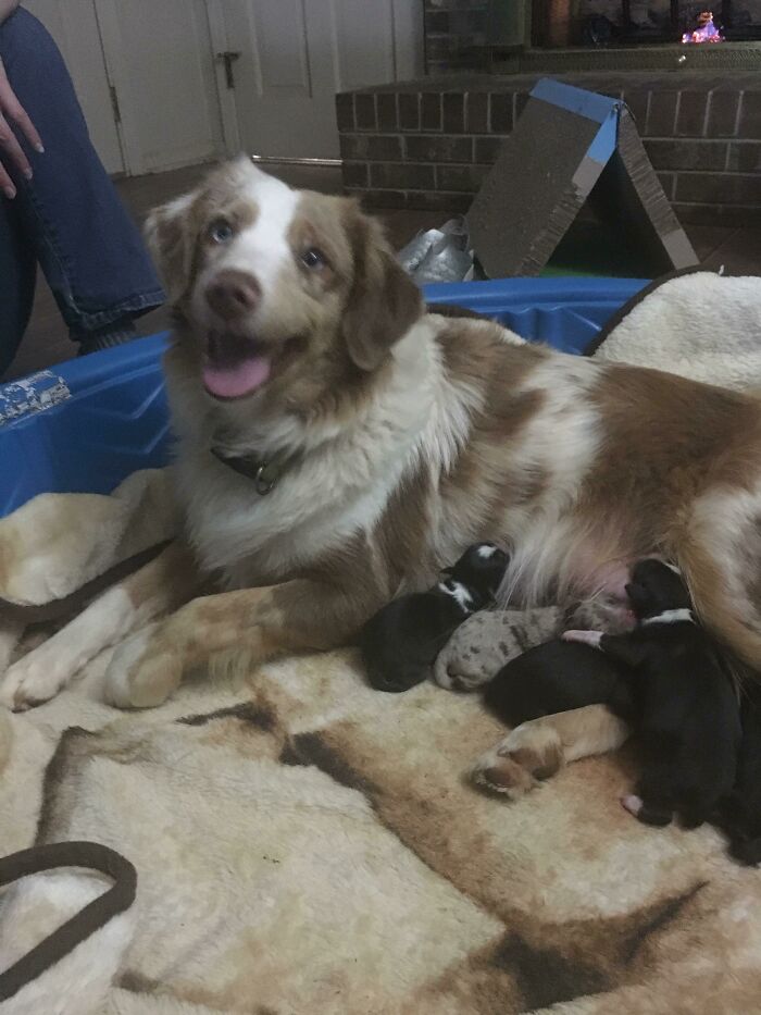 Proud Mom Of Seven