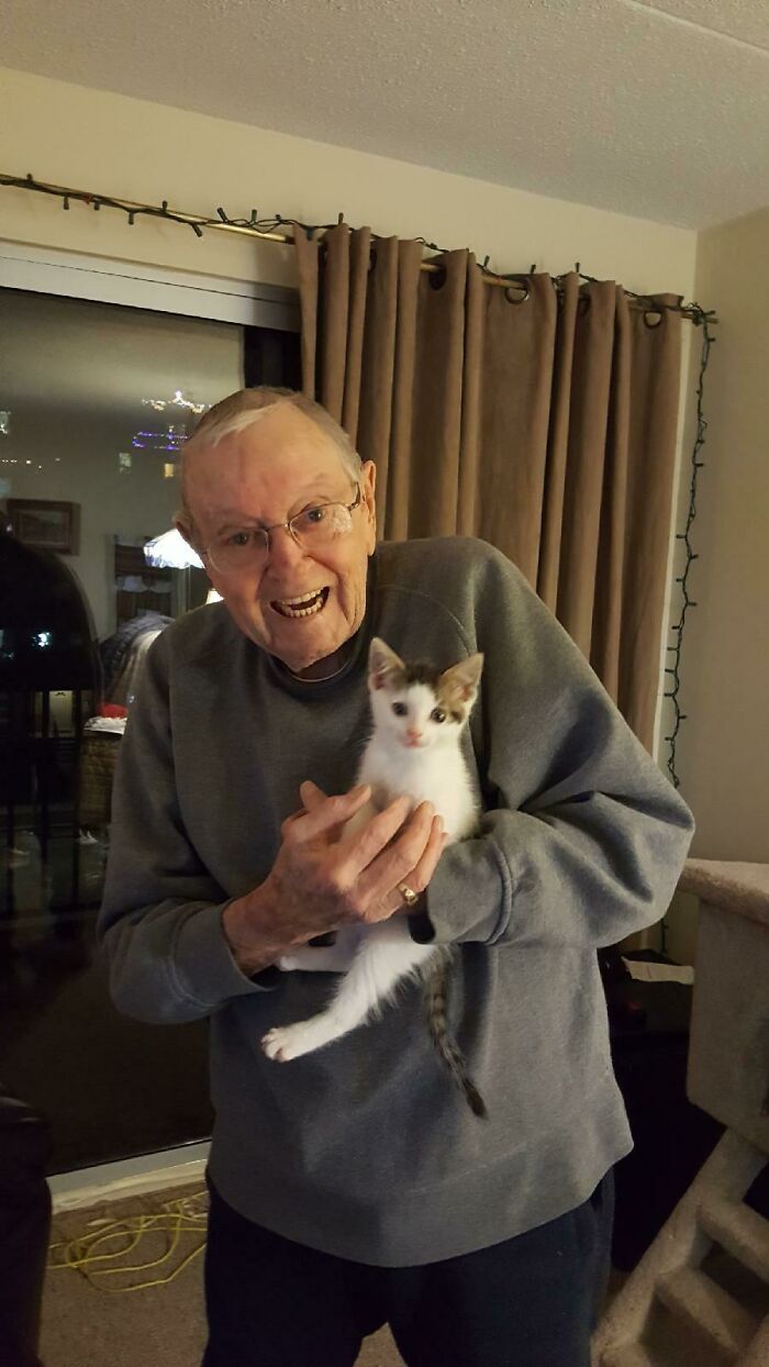 My Grandpa's Cat Passed Away Early December. He Was Crushed And Didn't Want To Insensitively Replace Her, But He Was So Lonely