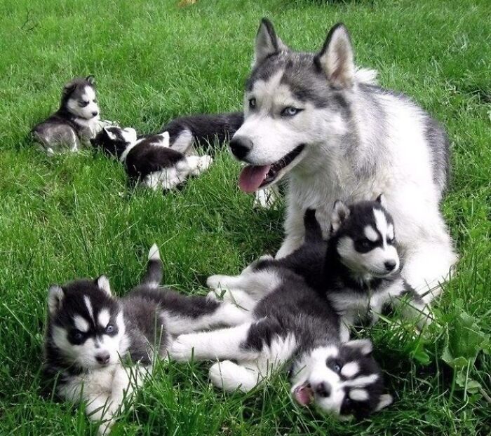 Proud Mother