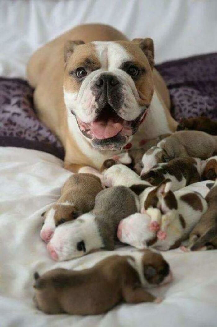 A Proud Mother