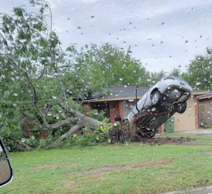 A Storm Knocked Over A Tree Whose Roots Lifted The Car Parked Next To It