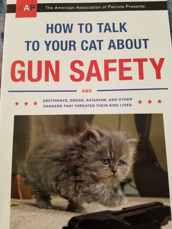 A Book To Help You Have Those Tough Talks With Your Cat