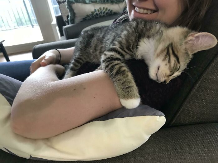 We’ve Had Him Less Than A Week And He Demands To Sleep In Our Arms