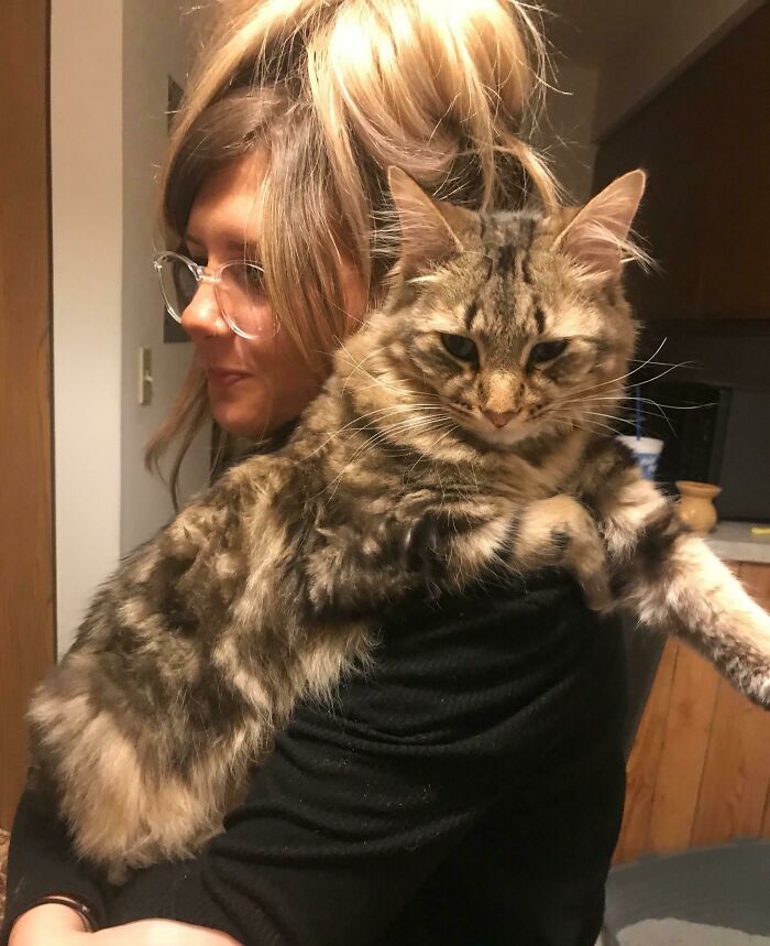 My Adopted Boy Hugged My Shoulder Like This As Soon As I Held Him At The Shelter Two Years Ago And He’s Demanded To Be Held Like This Everyday Since