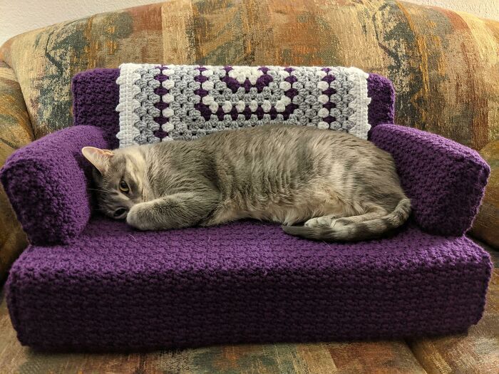My Mom Crocheted A Couch For My Cats