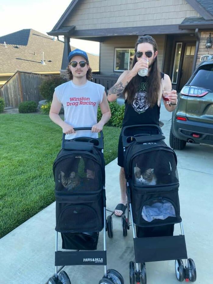 Just Two Guys Walking Their Cats In Strollers