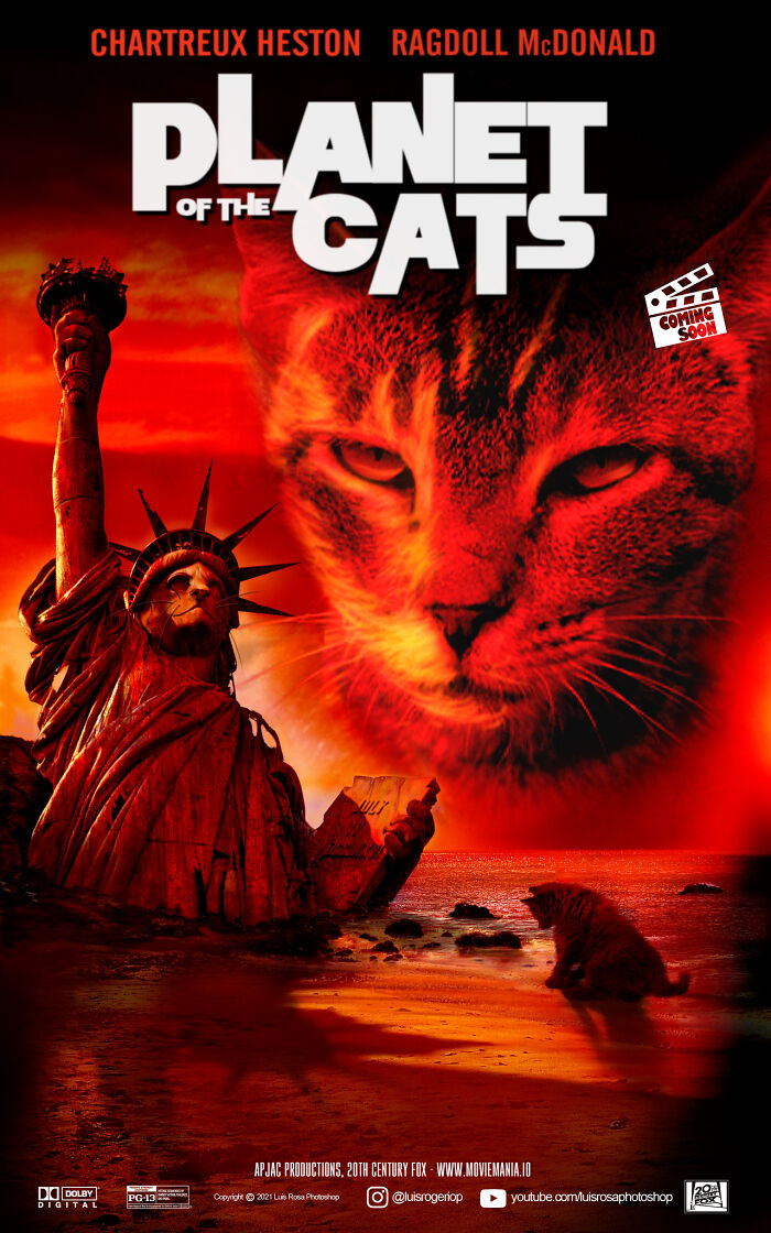 Planet Of The Cats