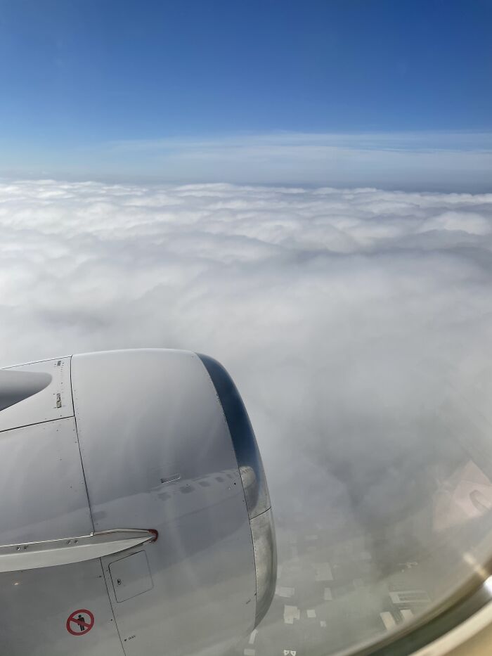 Went On A Trip To Disney World About A Month Ago. This Was Us Above The Clouds On The Way There