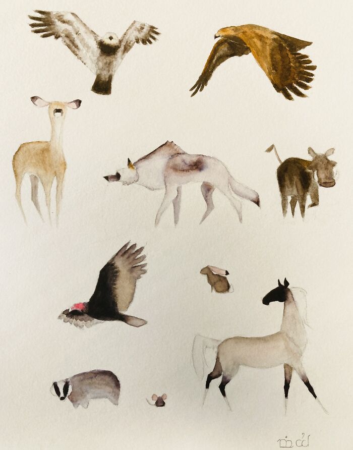 A Portrait Of My Family As Their Spirit Animals. From Top To Bottom, Left To Right: Little Sister—juvenile Bald Eagle. Dad—golden Eagle. Mother—deer. Me—wolf. Older Brother—warthog. Younger Brother—vulture. Baby Sister—rabbit. Even Younger Brother—badger. Younger Sister—mouse. Other Younger Sister—horse.