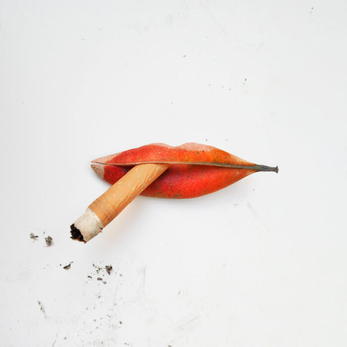 Artist Creates Simple And Clever Illustrations By Combining Everyday Objects (15 Pics)