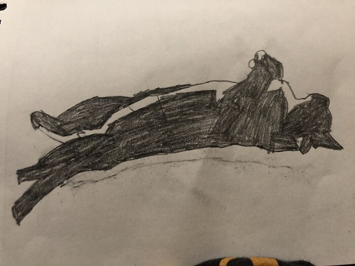 This Is A Trace-Drawing Of My Cat Midnight. I’ve Drawn Warrior Cats Before But I Can’t Find Them.