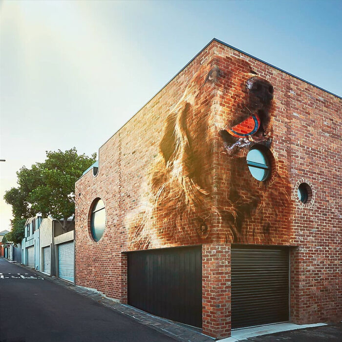 Been Learning Photoshop - Our Dog Photoshopped As A Street Mural