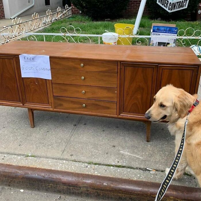Midwood! E21 And Quentin Rd. Doggy Not Included!