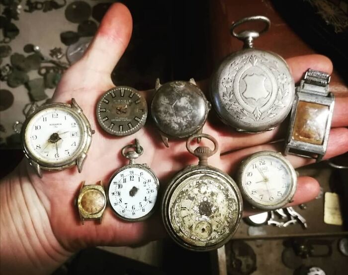 A Watch Collection