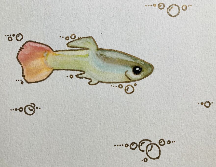 A Watercolor Fish, Painted For My Friends