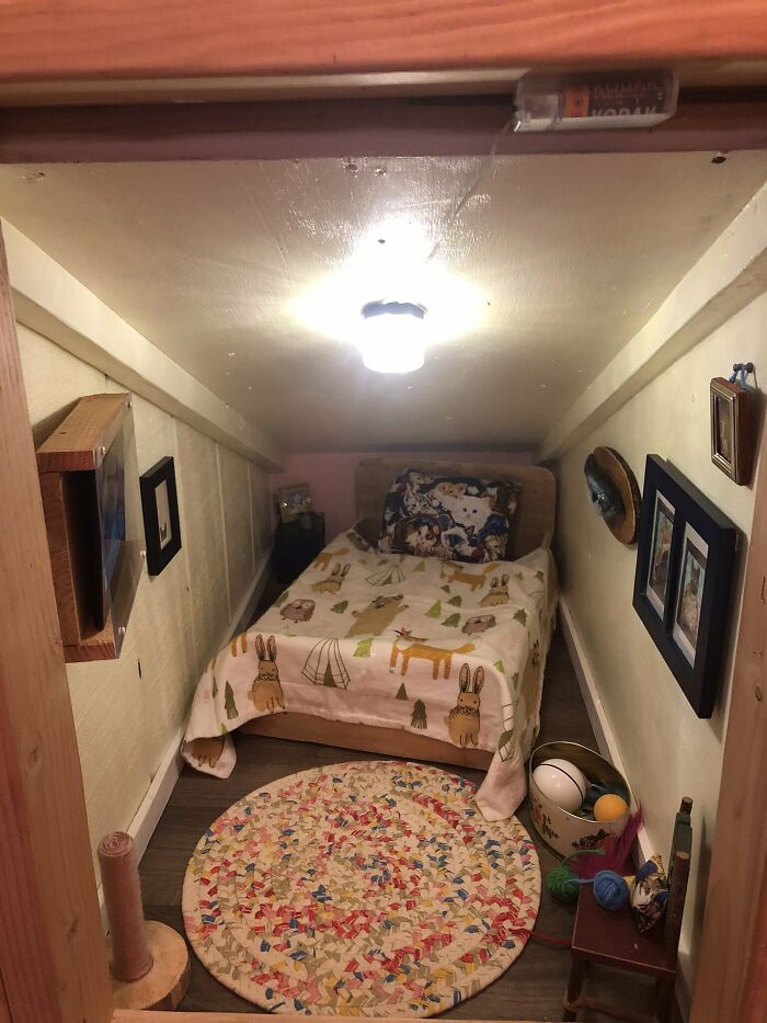 Este hombre transformó un espacio vacío tras la pared en un diminuto dormitorio para su gato, y otros dueños de gatos se mueren de envidia