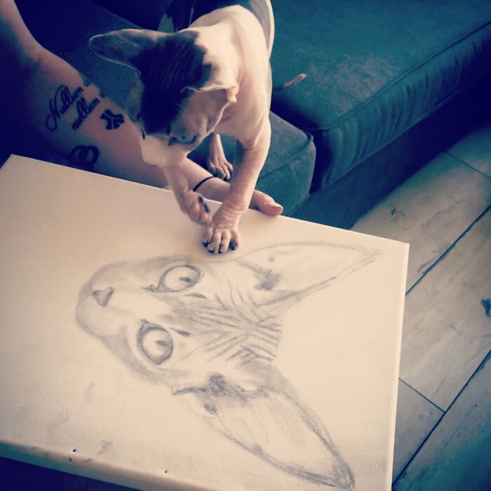 Drawing My Little Prince