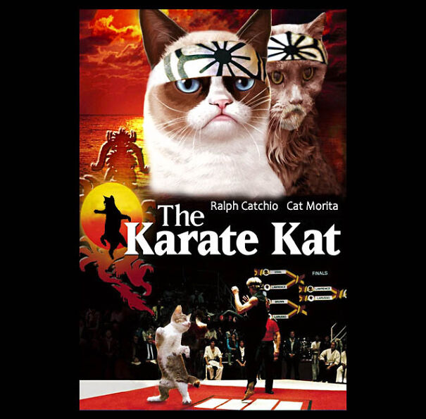 Karate-kat-609c21a58e3c5.jpg
