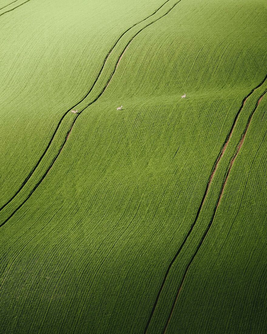 Meet The Stunning Aerial Photographs Of Gábor Nagy