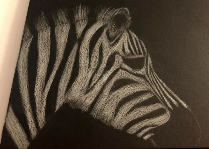 Baby Zebra--My First Attempt At Drawing In Almost 25 Years