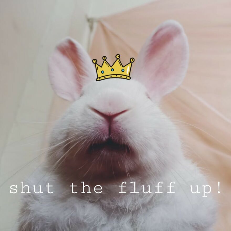 I Present Y'all The King Fluff-X !!!