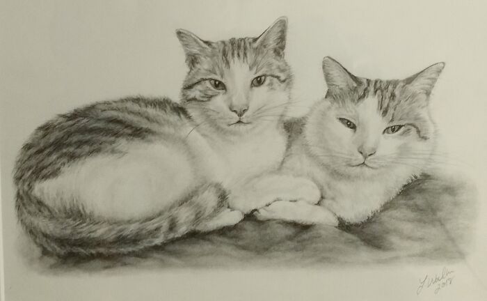 Charcoal Sketch (My Dad's Cats)