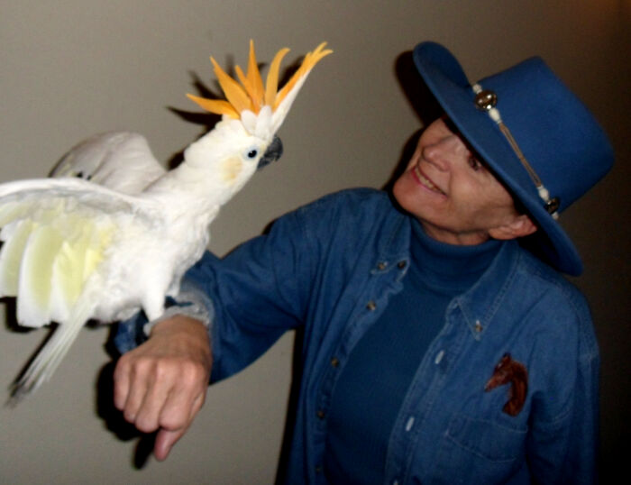 Here I Am With My Baby Citron-Crested Cockatoo. He Is A Real Character