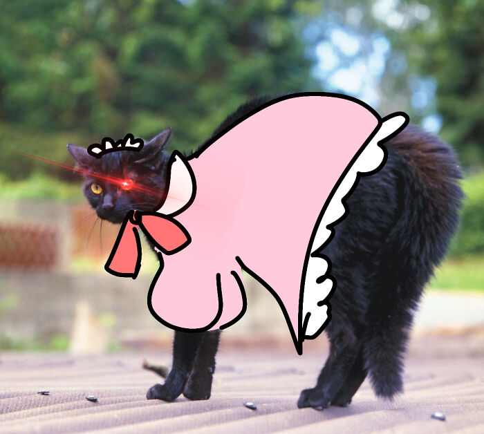 Maid Cat