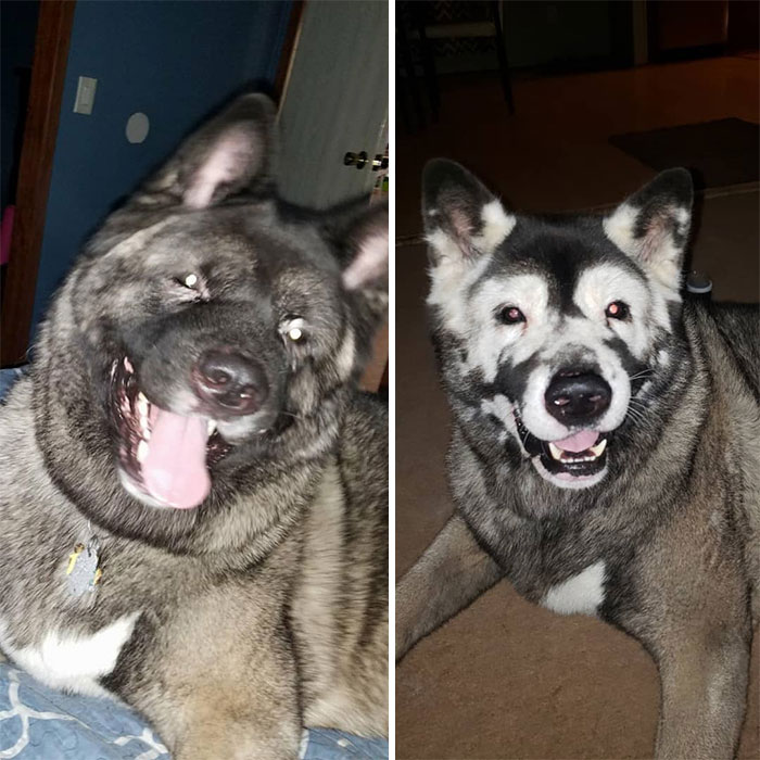 He Was A Good Boy