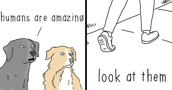 Artist Reveals What Animals Would Say If They Could Talk (30 New Pics) |  Bored Panda